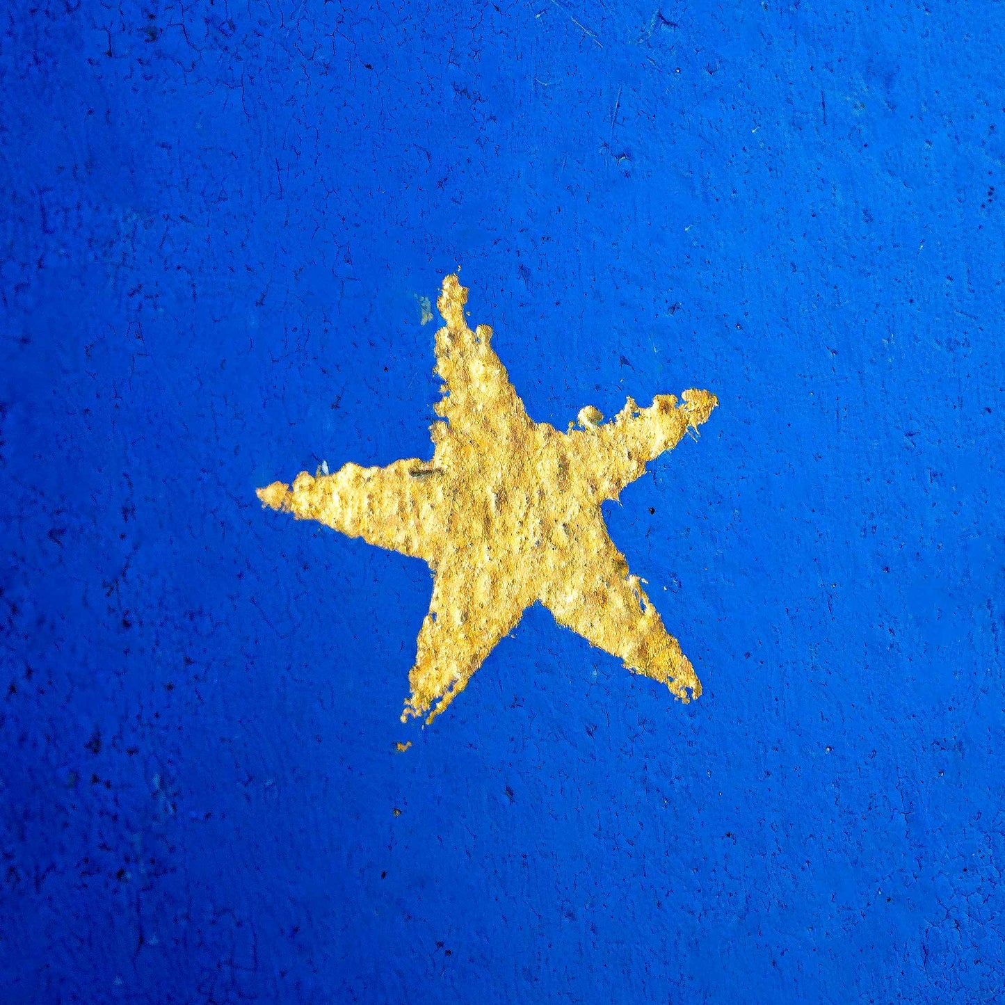 Adopt a five-pointed star in the Constellation of Saint Aloysius