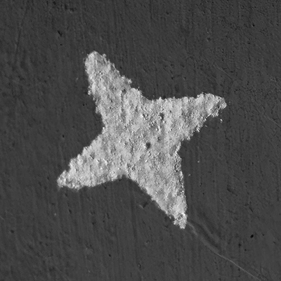 Adopt a four-pointed star in the Constellation of Saint Cecilia