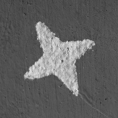 Adopt a four-pointed star in the Constellation of the Virgin Mary